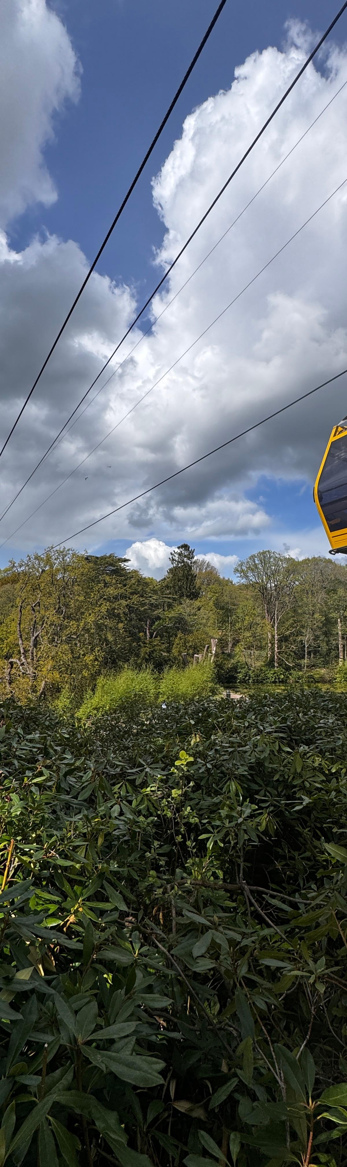 Can You Buy a CBeebies Land Only Ticket? Your Family Guide to Alton Towers