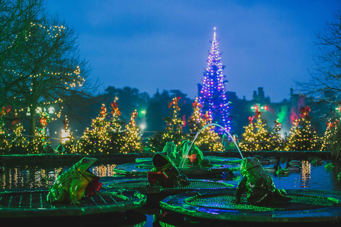 What Are the Alton Towers Santa Sleepover Packages?