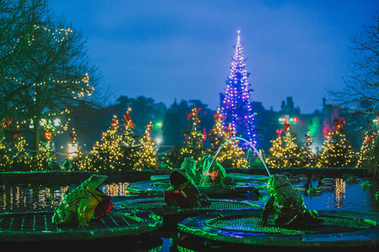 What Are the Alton Towers Santa Sleepover Packages?