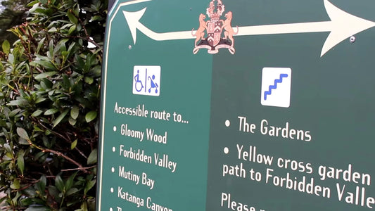 How Do I Apply for a Ride Access Pass (RAP) at Alton Towers and What Are the Pass Typ