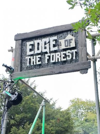 What’s the Connection Between Leshwall and the Dark Forest Area at Alton Towers?