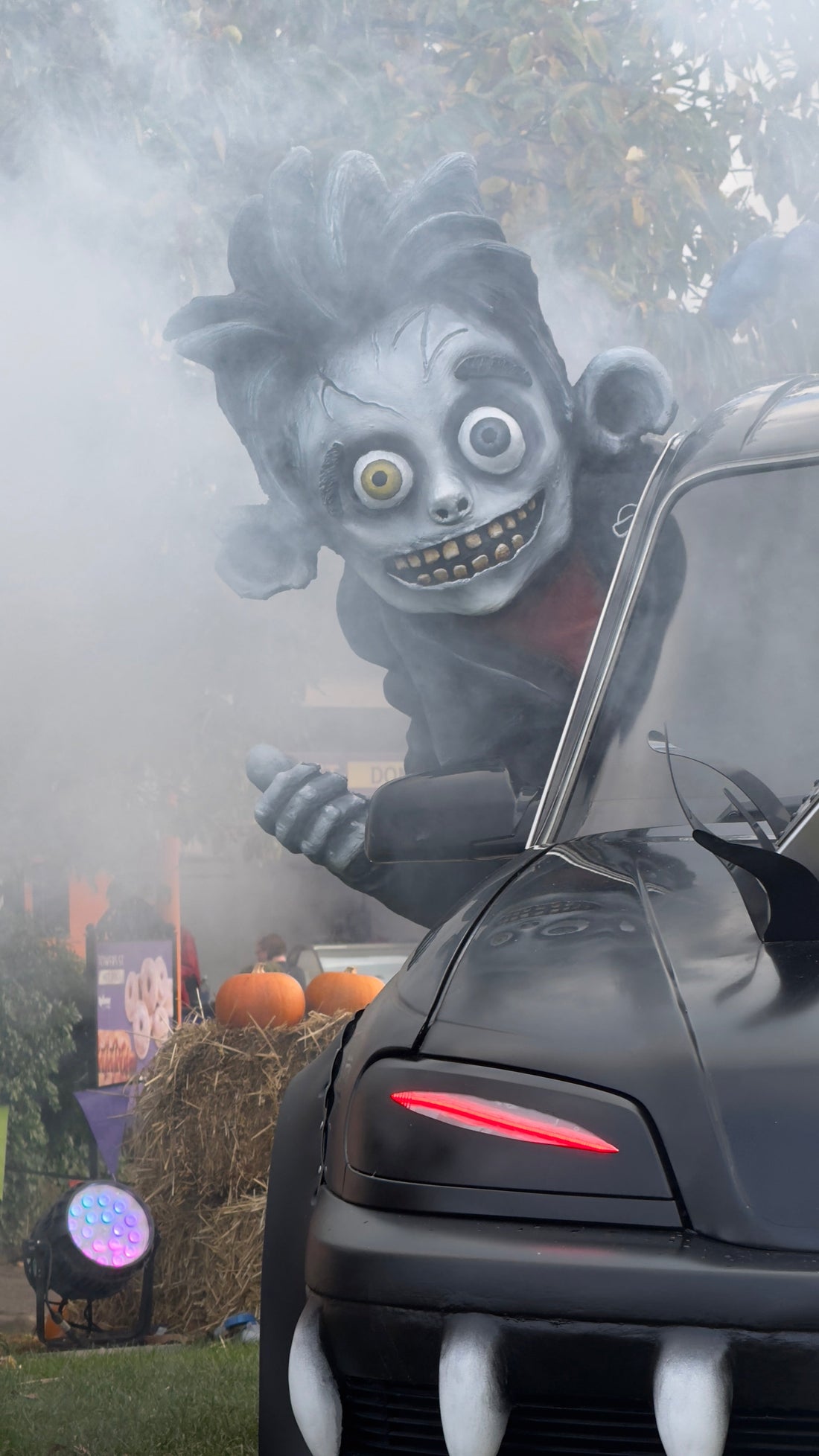 The Leshwall Curse: What Happens If You Enter the Edge of the Forest