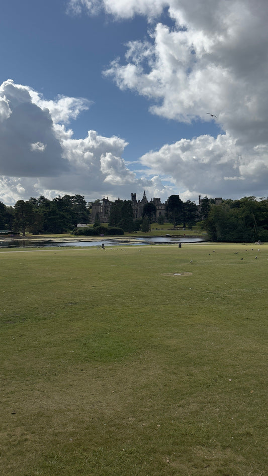 The Ultimate Guide to Alton Towers: Rides, Tickets, History and Tips