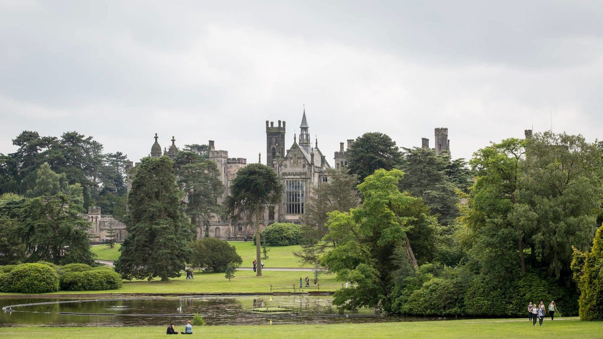 First Aid at Alton Towers: The Complete Guide