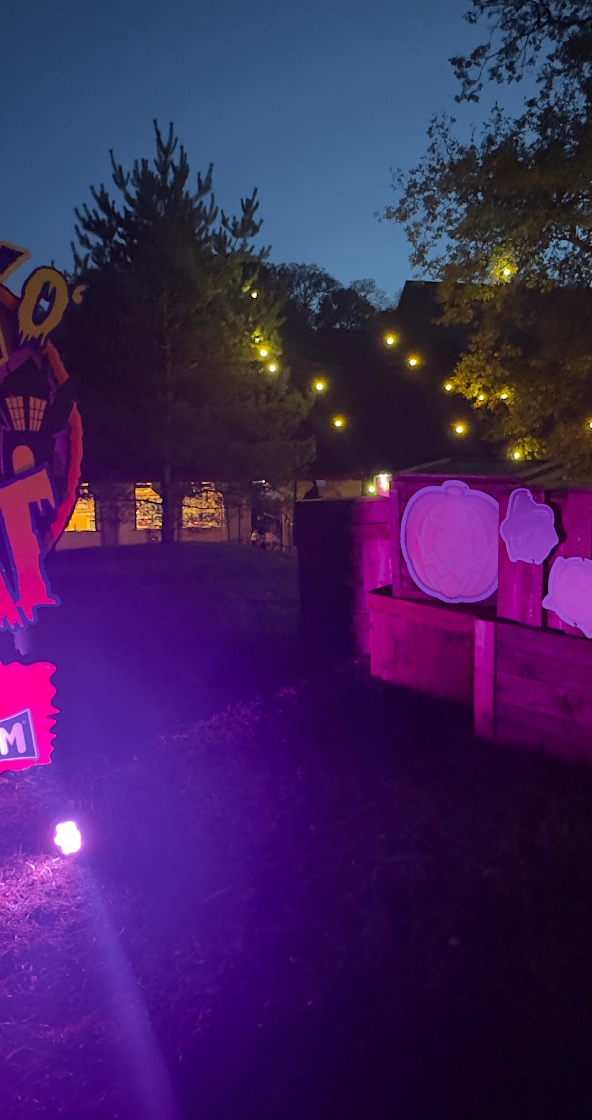 The Scarefest Survival Kit: What to Bring for a Night at Alton Towers